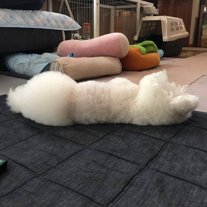 70283f3a f3cf 4b24 8218 4ab6f42d5c7f 1558511059599