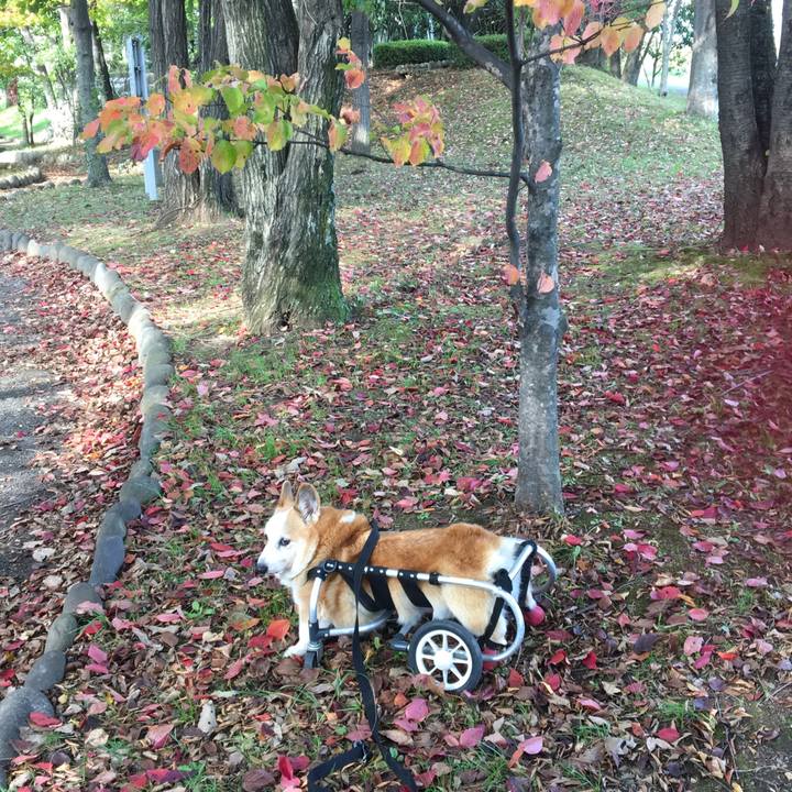 702842d3 d43c 4798 88c4 dc24447ceee1 1541924413889