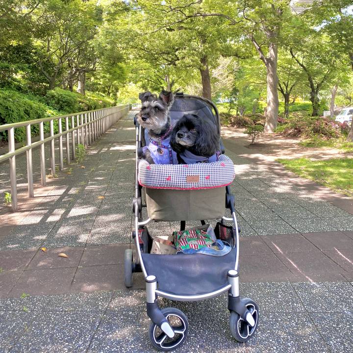 70285c25 b20e 4cbb 9d99 feef1631c861 1684731018441