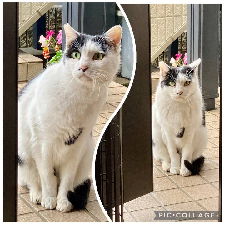 702864c3 2dd3 4c28 a660 266ae4b2dd0a 1766295856763