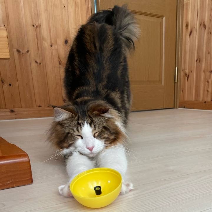 702875a3 5bb1 42fb 8df6 505e63086de4 1649110220487