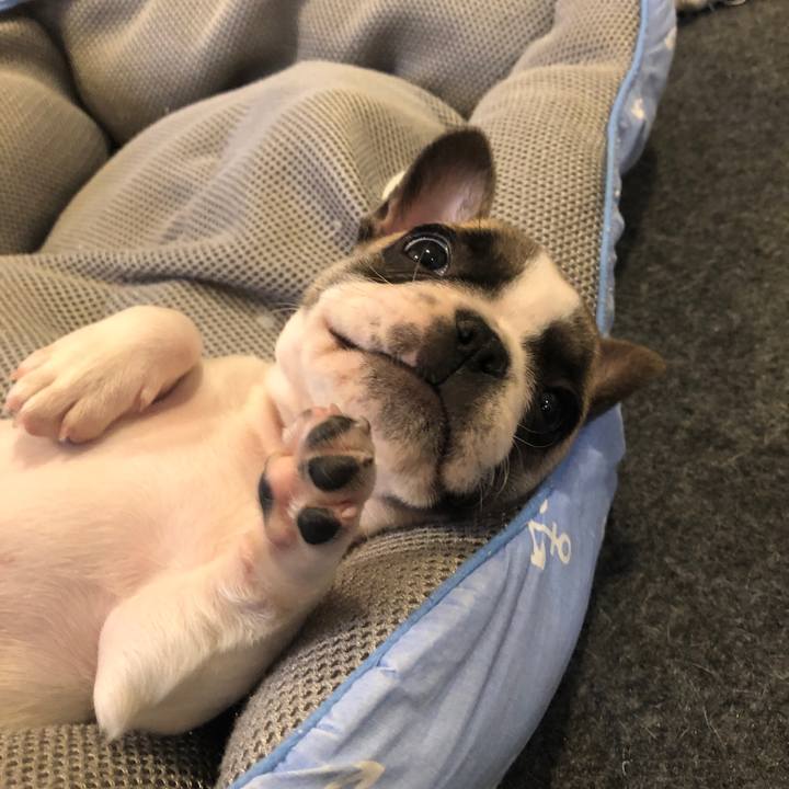 7028862c b2e6 4db3 b1d1 4492162c5b27 1555230626150