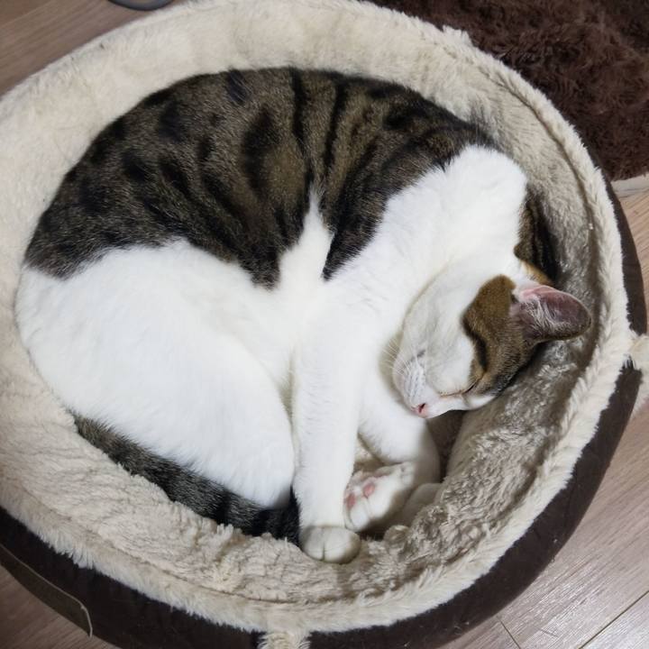 70289667 58f5 4ed7 b7cf 97e4011064f3 1581974031742