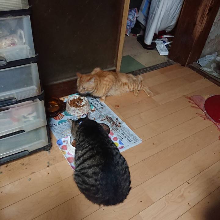 7028c3cb afd7 4e30 bea3 1cd406f4234a 1660050356373