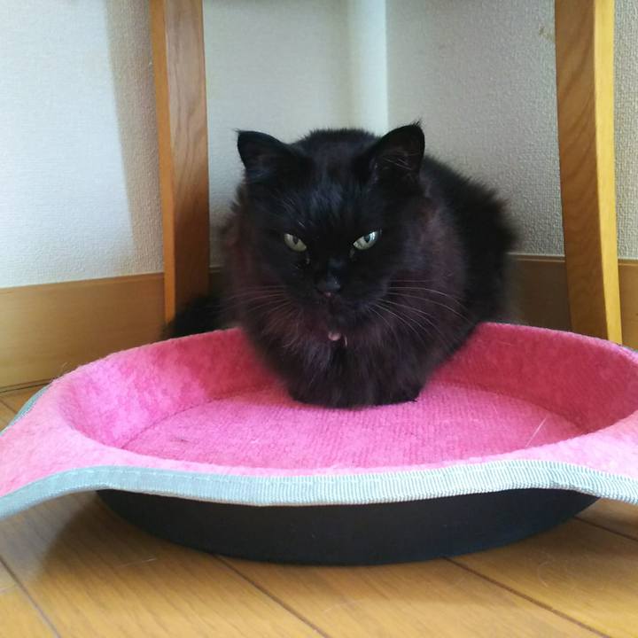 7028f1ce 2500 4d25 995c b8daeeff9390 1525563005232