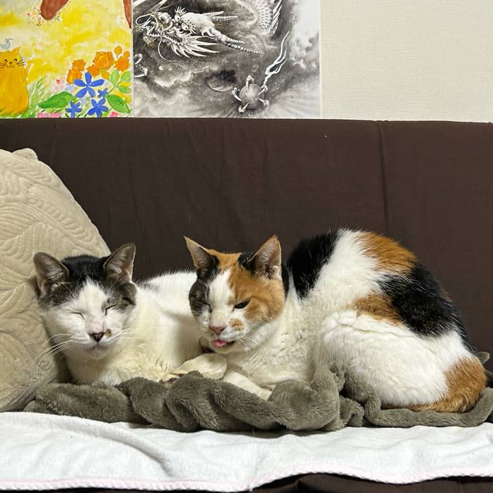 702905d8 a4be 45b7 985c c7ffc90abf69 1729678917217