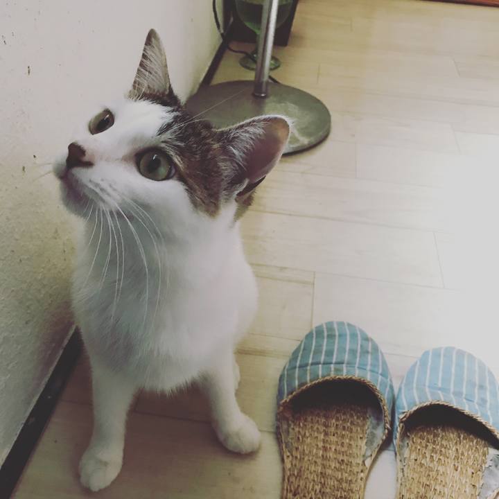 702910b9 37b0 4f6b 825b 6cb73e29127a 1538420332324