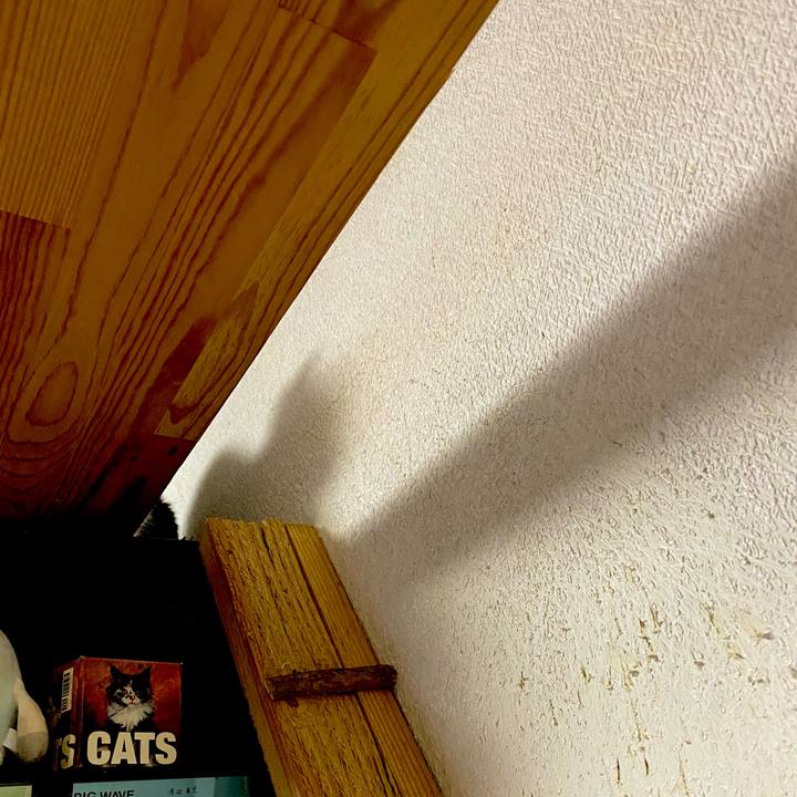 702932f3 8270 4e44 b786 30bfe048f800 1611282302912