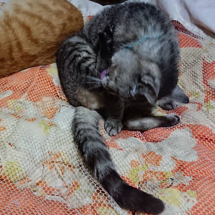 7029d8c9 99f4 43e8 8ab0 9039fc0fc646 1569501650458