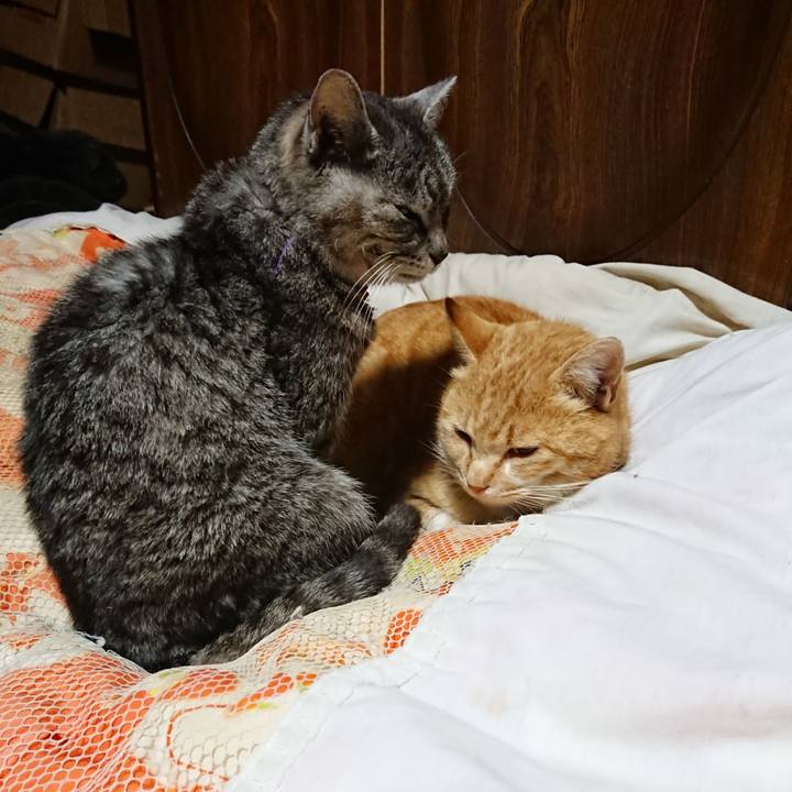 7029e422 19e8 43bb 8d54 3de26ea7a852 1583930871390