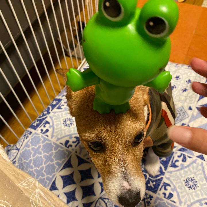 702a0102 72b2 4bde 977c 0af05a4cc737 1573175485465