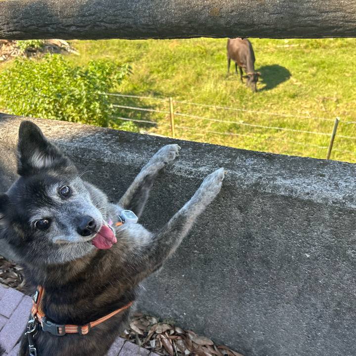 702a49ff 8fc0 4751 a2dd 51fb8143ac02 1760968292892