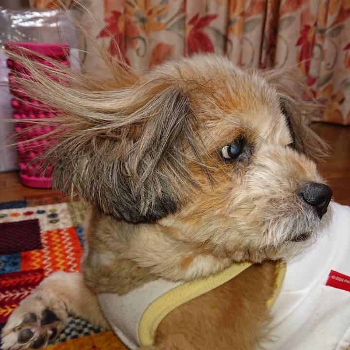 702a7e7b 34cc 4fac 8312 574c0ee8393c 1612435806448