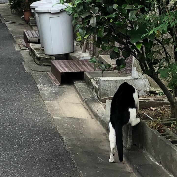 702a8b1d 154f 476e b218 3c971ee7cbd3 1527497019752