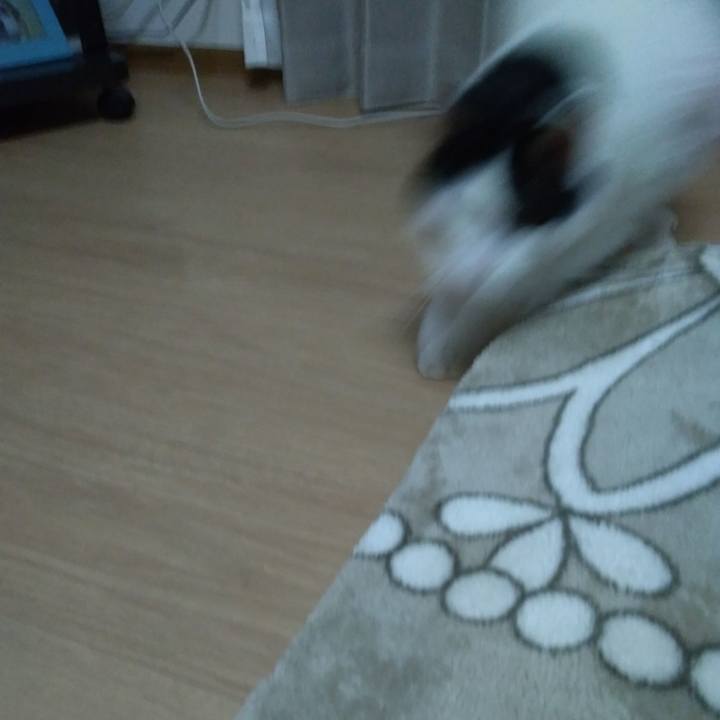 702acf17 c51f 48dd a7aa 02ba79703579 1523964538736