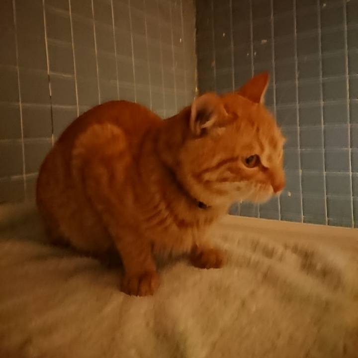 702afd86 4307 44cd 836c cb7f98e052e5 1648209766383