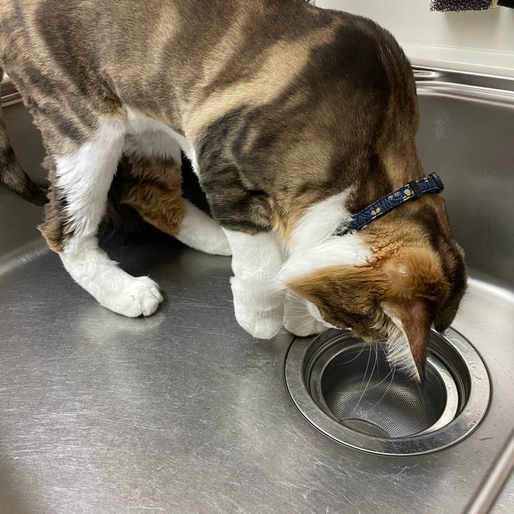 702b14f0 7ef6 44bc adeb b350a75574d5 1659534986837