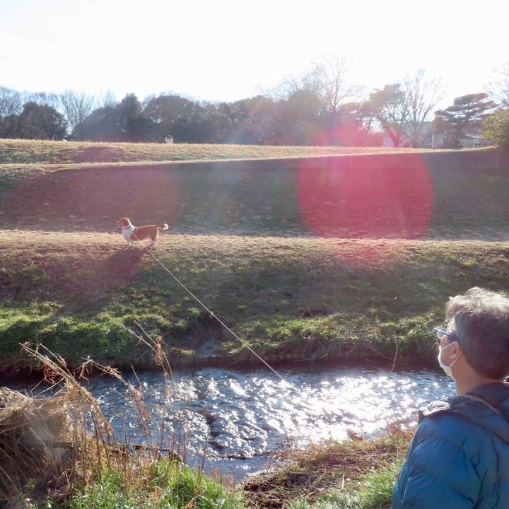 702b1826 3af3 474e 88a2 7b00185fe3b9 1641261387136