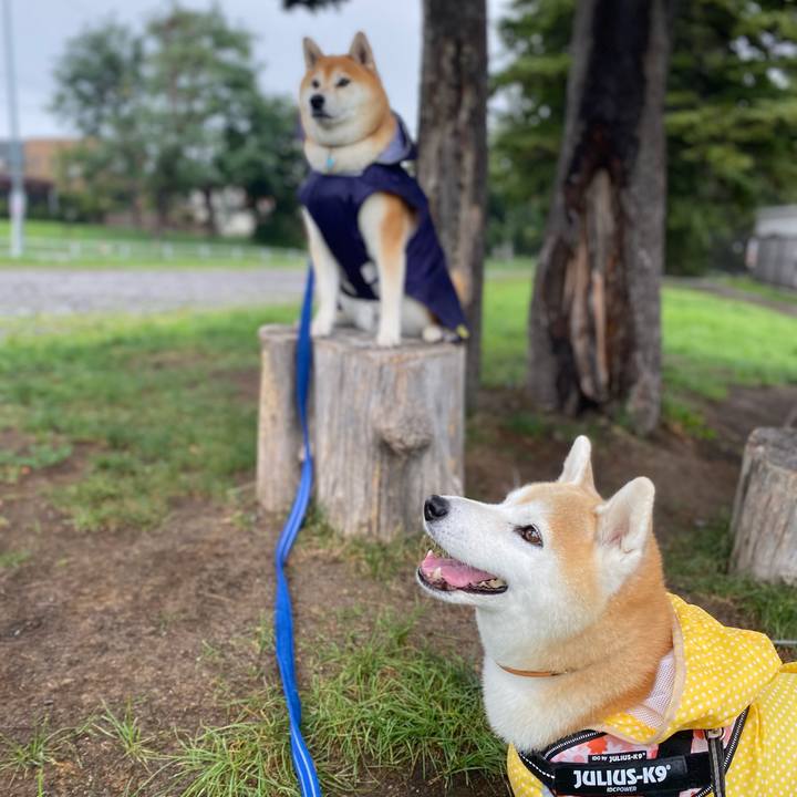 702b4e06 0e91 43f6 8b40 ad4abbc68437 1726024778661