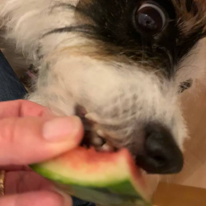 702b77c4 ad58 4a9c 87a5 06b9fb826a1f 1655811401297