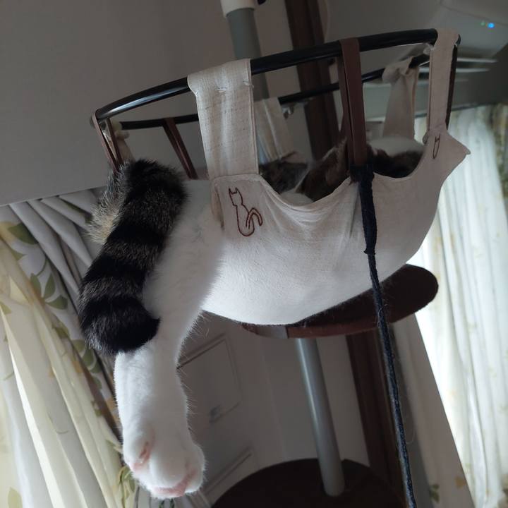 702ba1fa 5434 4812 9ac2 2546c118c5fb 1628981883160