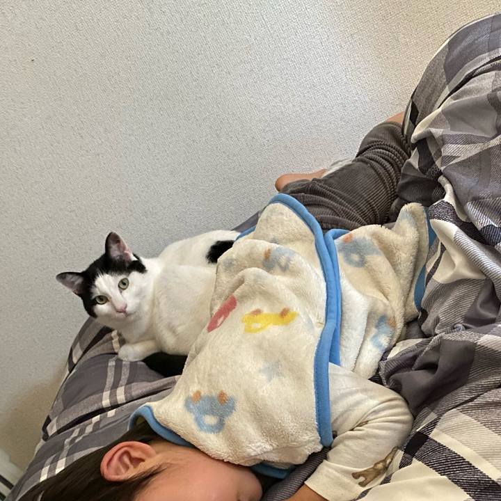 702ba4c4 0f94 4a0c 8144 0e550e1bbd57 1643211200432