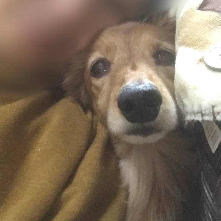 702bab4e c259 4467 98ce 1d44f03519de 1613483179401