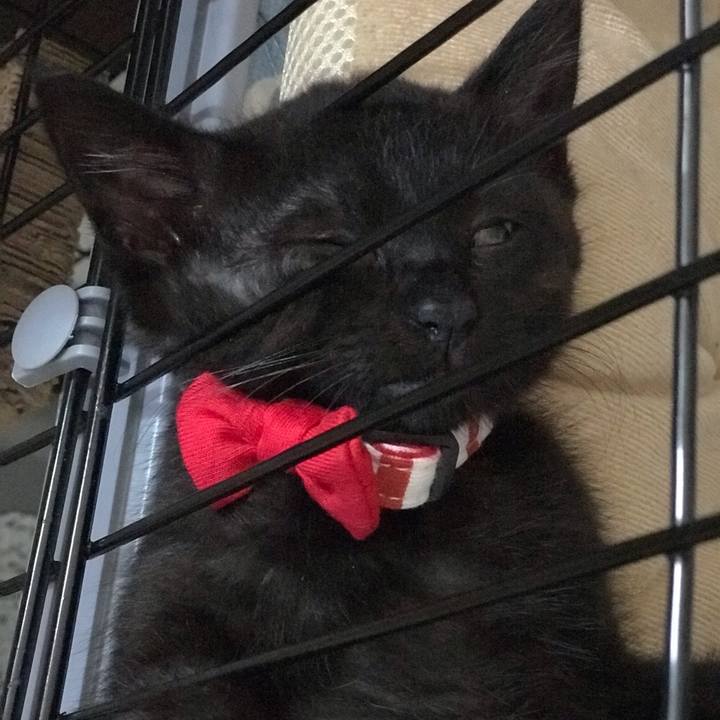 702bb48e 36f1 47f8 92c9 112e4dc95557 1658899926076