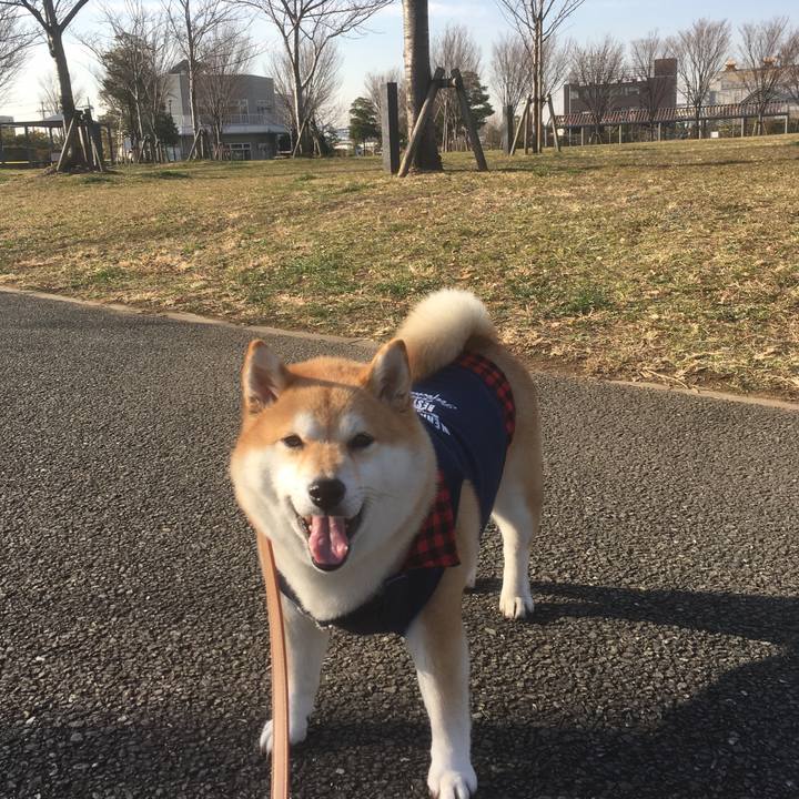 702bd5bc 42a2 4acb 90fc 12ae8d97384e 1546928868334