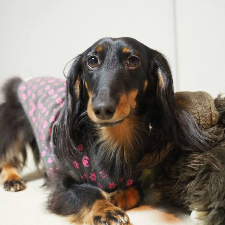 702bddd6 fa62 4728 9222 7931e8a80825 1521504716158