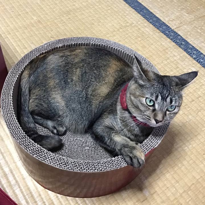 702bed37 6ab6 4042 b319 ac49ff51597d 1600998139300