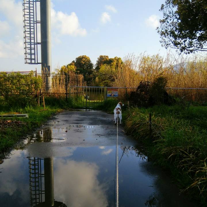 702c14a0 7b73 46e2 bc94 33b9facfaeb1 1554682295669