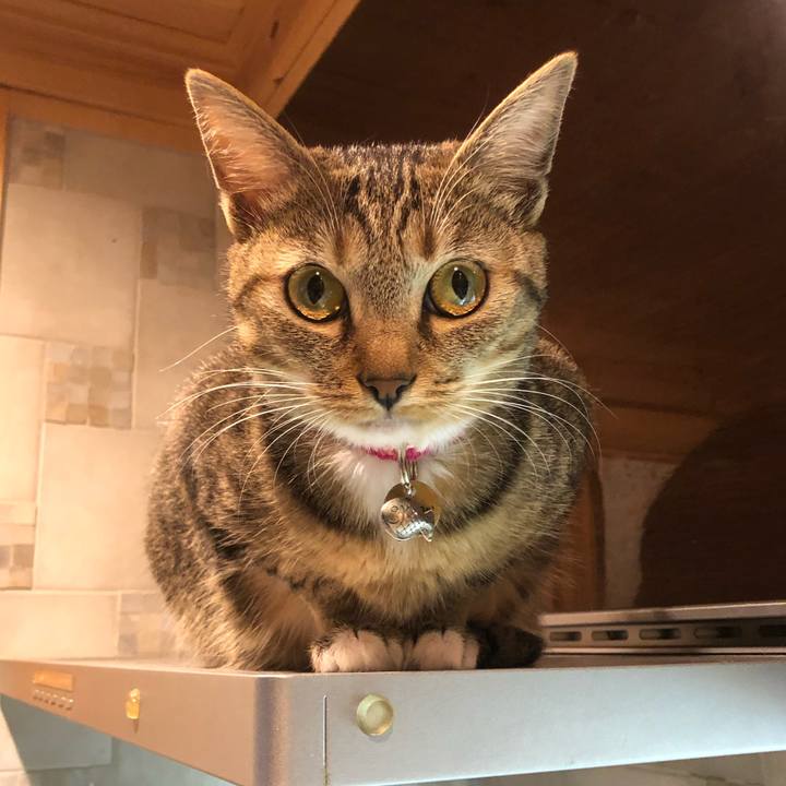 702c5cd1 a81d 4ace a733 6a9ade0110d1 1605784877066