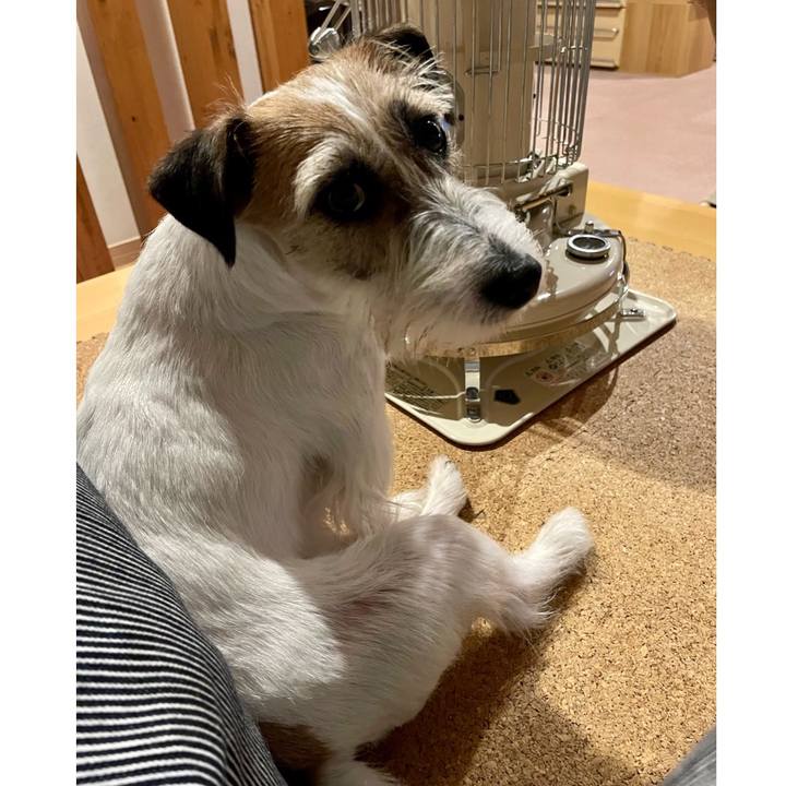 702c7047 7d11 46d4 9ddc d37a2ddf68b4 1650457850223