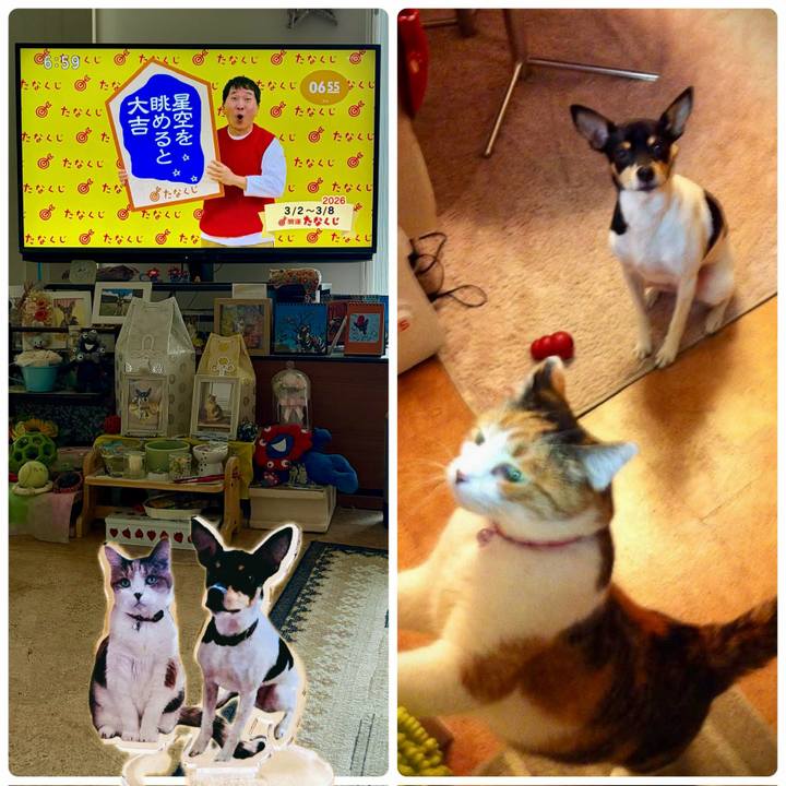 702cd44a ea8c 4e38 a0af 5084249cfe42 1772406668937