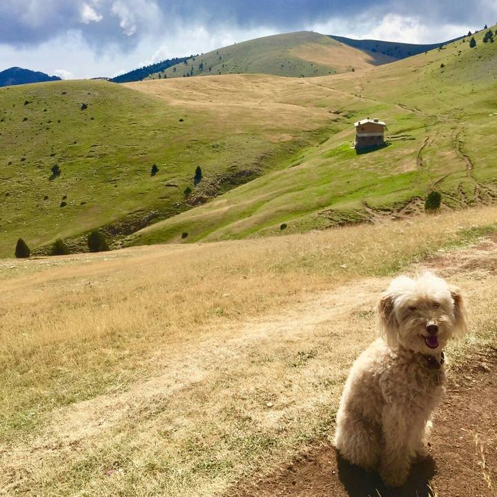 702ce1dd 5e5c 4623 9cf6 739925410c38 1574942094999