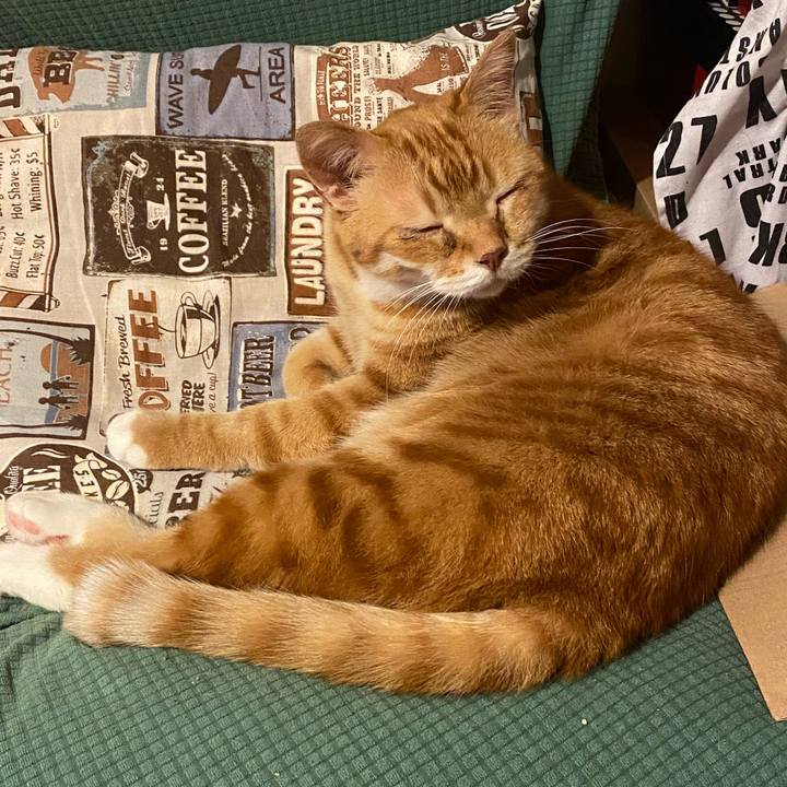 702ce65c 38f6 48a5 b3da 3633ebdb36a2 1620038949644