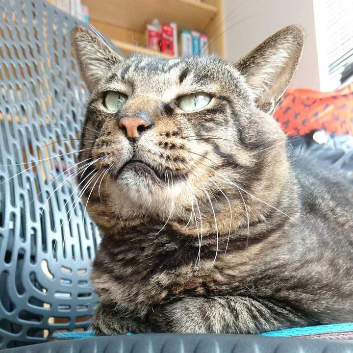 702cebab ef39 43c6 b391 4dc117d00da7 1539006380261