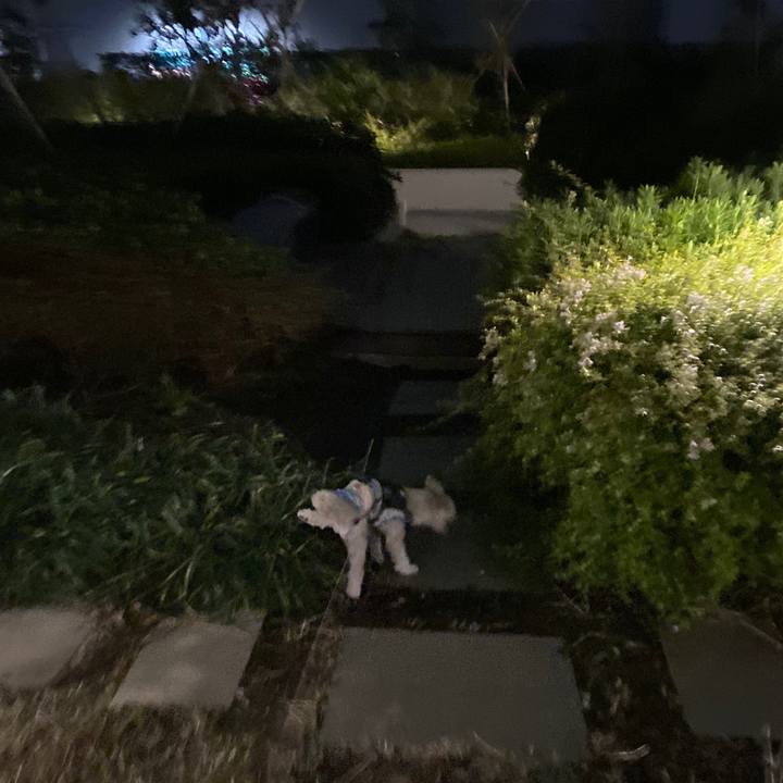 702cec05 aafd 453b 9366 c858ff1f8d56 1573642993766