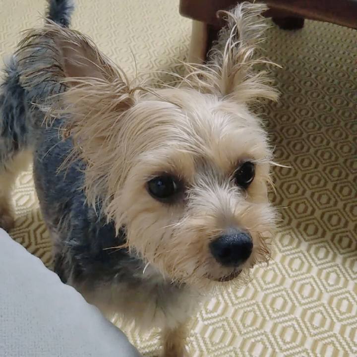 702cf7a1 53ff 40b6 a236 44d564a06b47 1657685101763