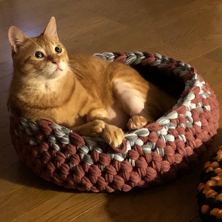 702d0fcc c184 4407 84e4 455b492226c0 1660042504549