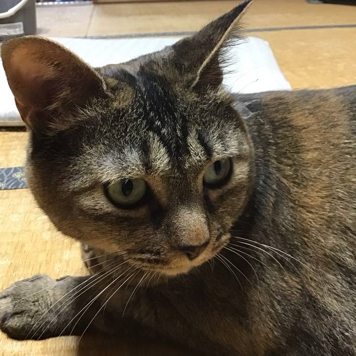 702d5153 b2d2 47b8 9e58 33061a4622a5 1751804640430