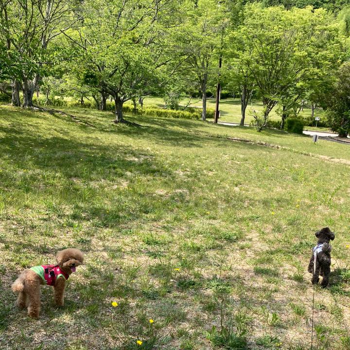 702d92cf 6d21 4ba1 876b 6f98ecedee79 1684676588218