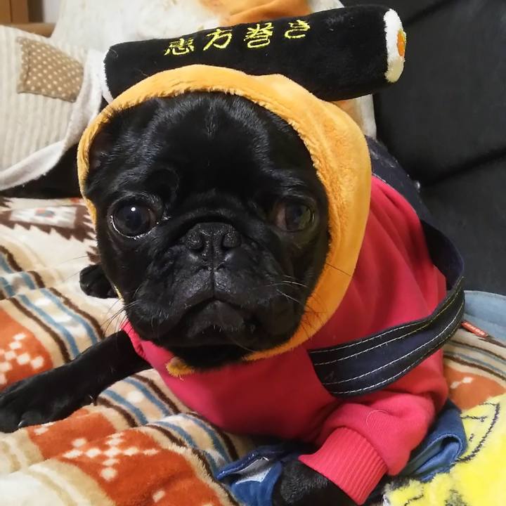 702dba70 ed6e 40de 9715 a7a90775f851 1580667353750