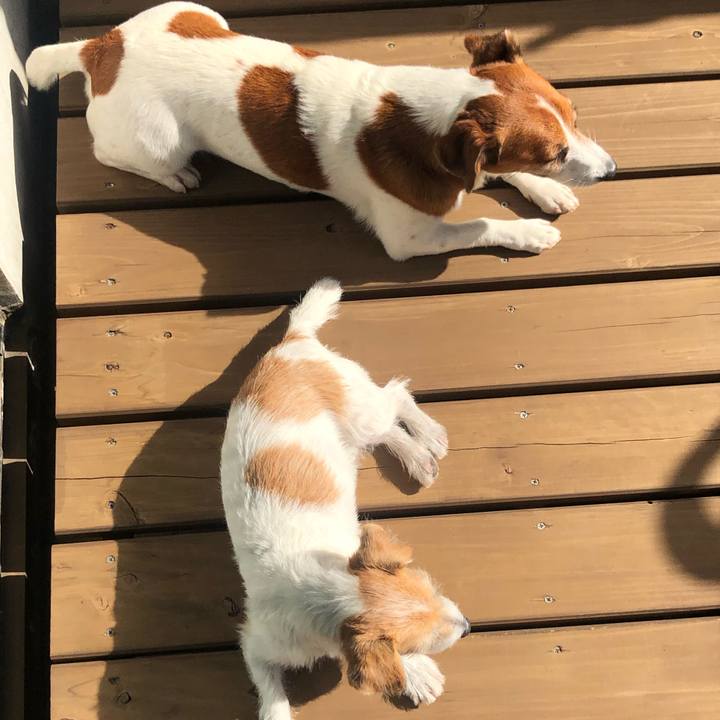 702dbff2 c443 4d8c ad2b 9eee107400d8 1605769443387