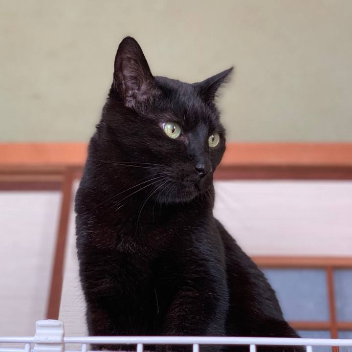 702dde2f 49ef 4bcb a4a0 d210b28e1a44 1554080291413