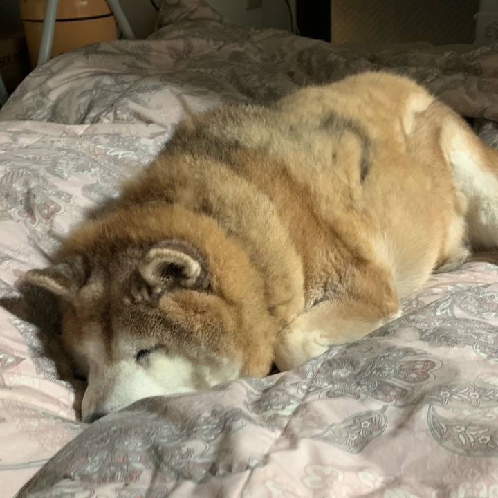 702df914 61cf 47cf af71 c3b9a4480846 1610843685084