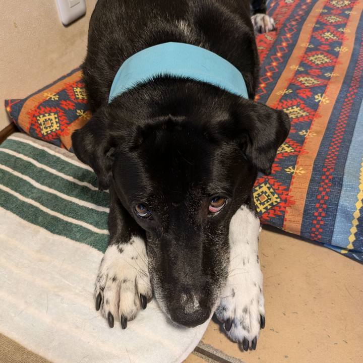 702e104e 1964 4e16 9b8f 5b62ca917f5f 1719794260088