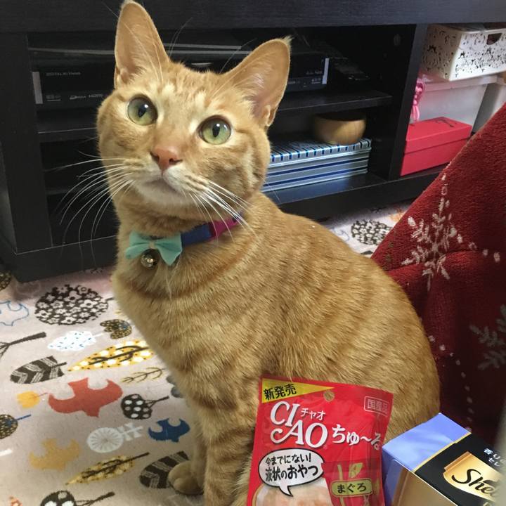 702e13d0 032b 4325 becb cae430ebbd84 1518781064031