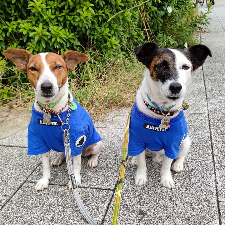 702e774b d763 496a b281 74845c6103f2 1663803604437